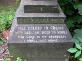 image of grave number 484051